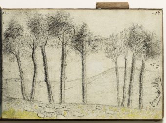 Cornudella. Landscape with trees