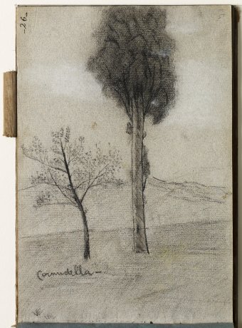 Cornudella. Landscape with trees